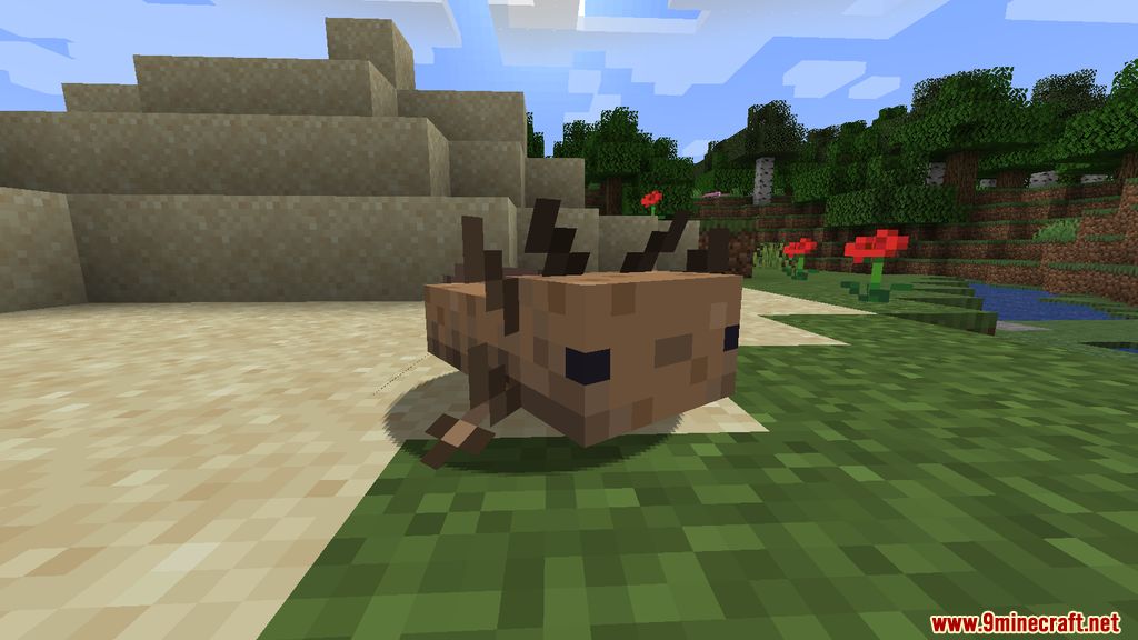 More Axololts Mod (1.19.2, 1.18.2) - Companions, Pets 4