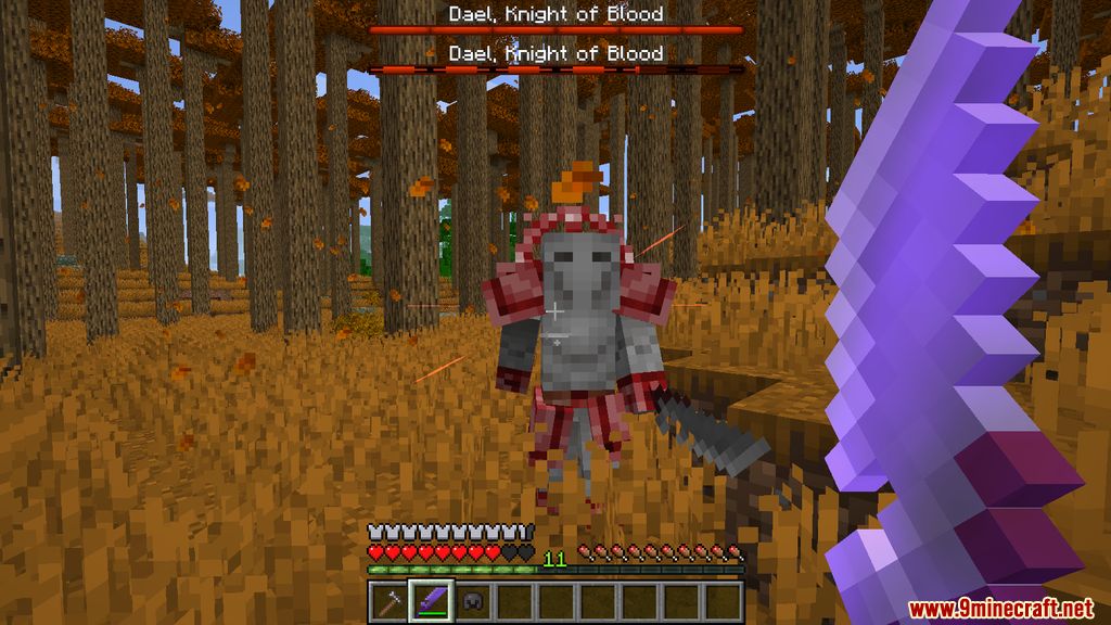 Robo's Fantasy Mod (1.18.2, 1.16.5) - Entities, Sword 9