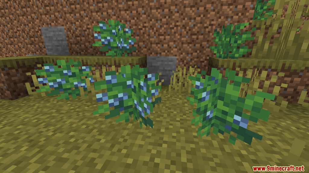 Wilderness Mod 1.16.5 (Fruit, Random) 6