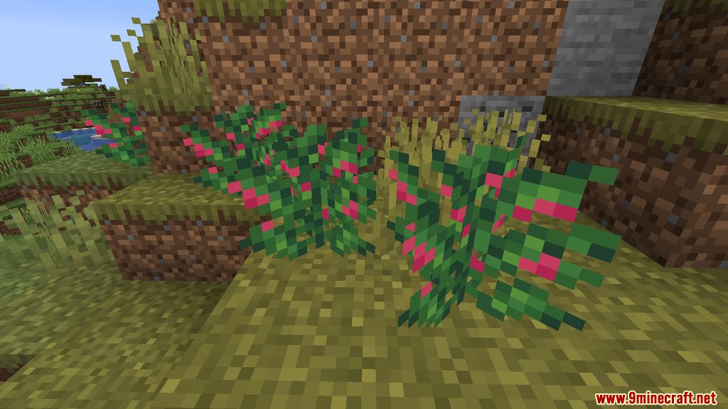 Wilderness Mod 1.16.5 (Fruit, Random) 7