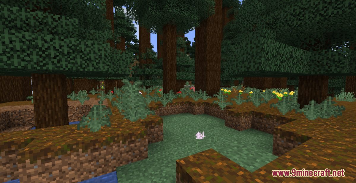 A Fox's Life Map 1.17.1 for Minecraft 6