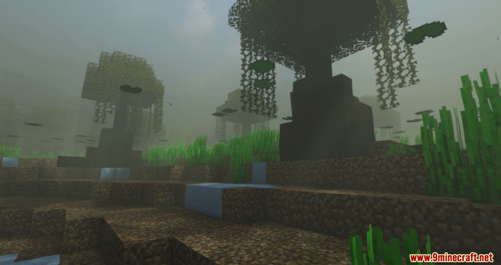 Biome Enchancements Mod 1.16.5 (Trees, Biomes Improvements) 2