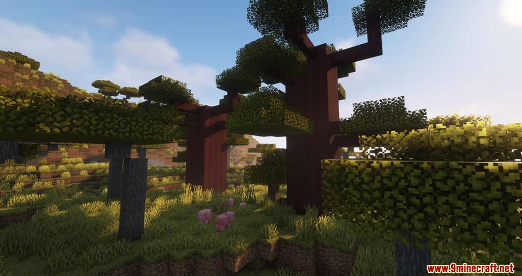 Biome Enchancements Mod 1.16.5 (Trees, Biomes Improvements) 7