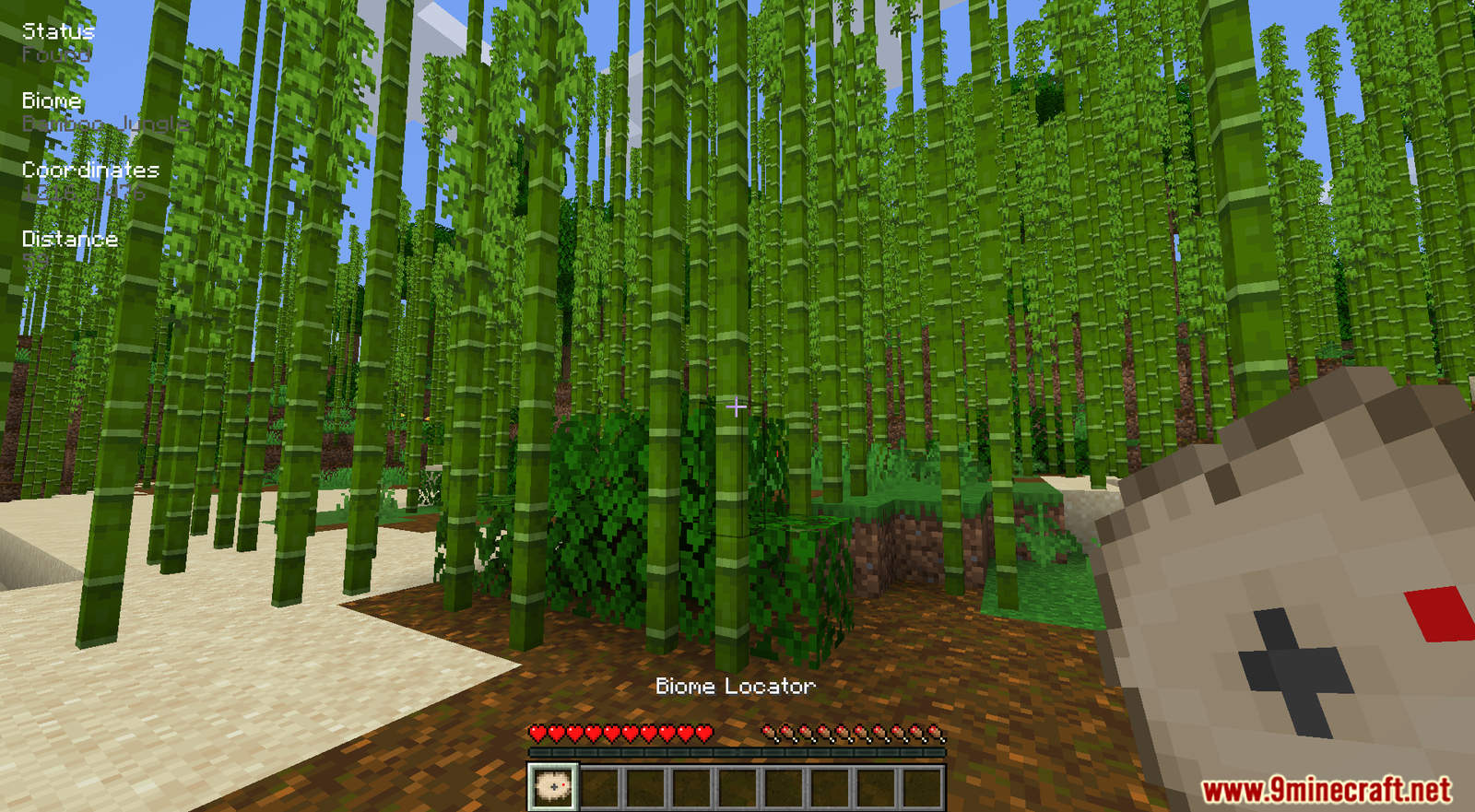 Biome Locator Mod (1.19.2, 1.18.1) - Compass for Biomes 13