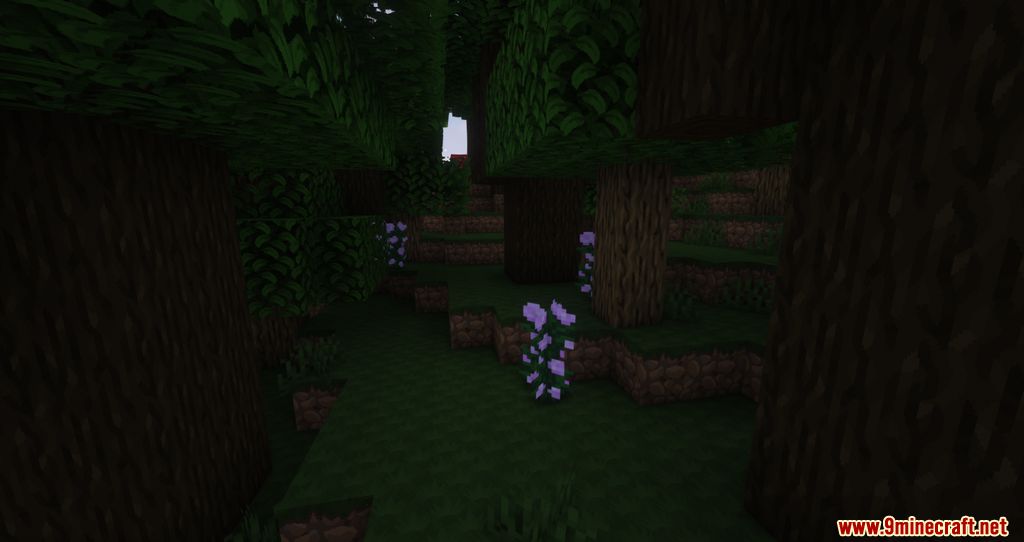 Devoted Resource Pack (1.17.1, 1.16.5) - Texture Pack 3