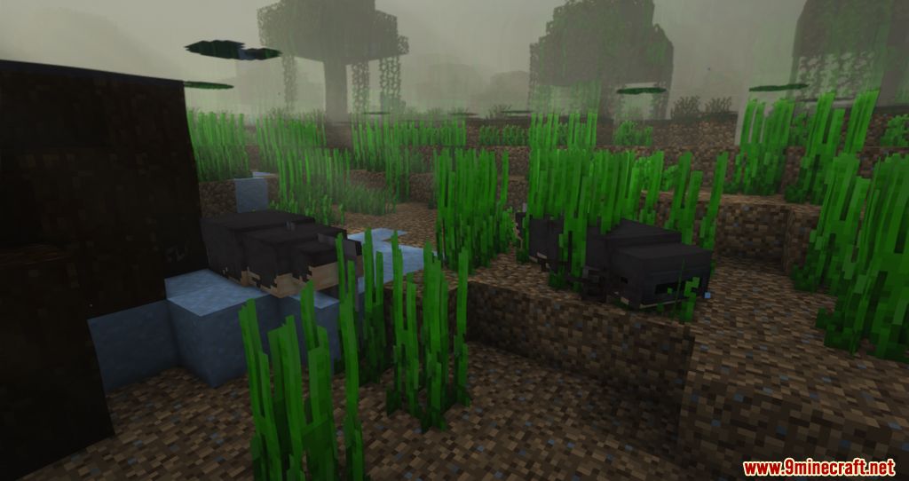 Fresh Warriors Mod 1.16.5 (Water Creatures) 7