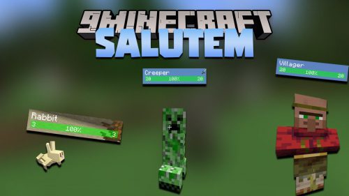 Salutem Mod (1.19.2, 1.18.2) – Floating Health Bar Thumbnail