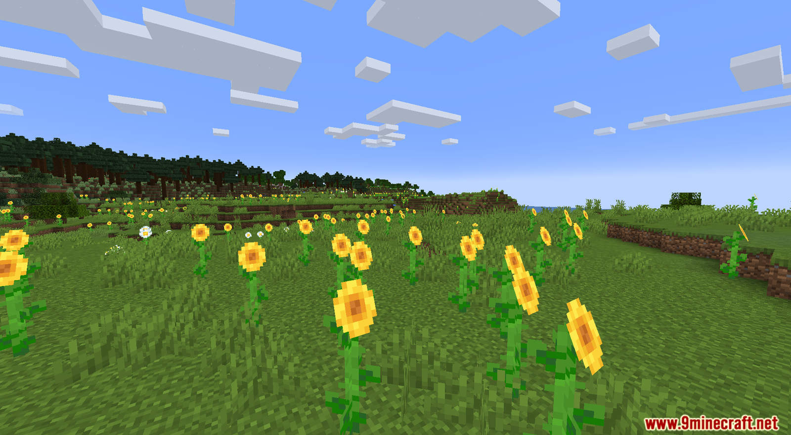 Sensible Biomes Data Pack 1.17.1 (Tons of New Biomes) 2