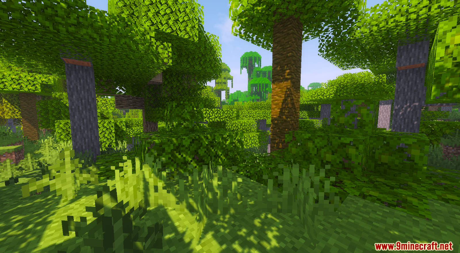 Sensible Biomes Data Pack 1.17.1 (Tons of New Biomes) 11