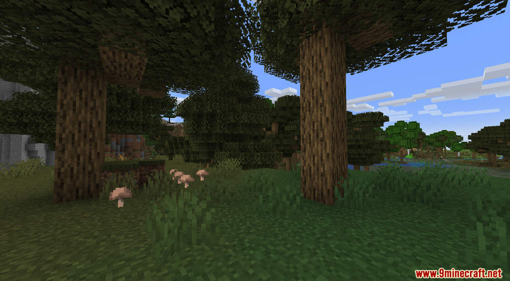 Better Trees Data Pack (1.19.3, 1.18.2) - Tree Generation 2