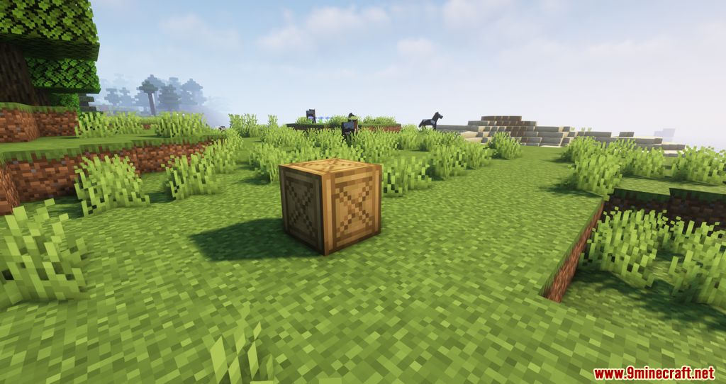 Carry Capacity Mod 1.16.5 (Inventory, Management) 3