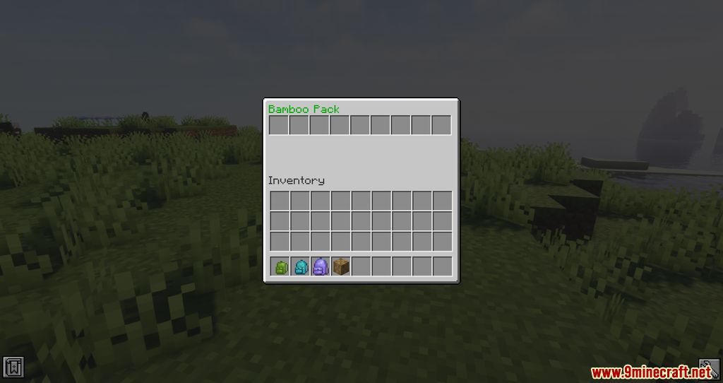 Carry Capacity Mod 1.16.5 (Inventory, Management) 6