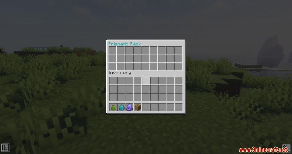 Carry Capacity Mod 1.16.5 (Inventory, Management) 7