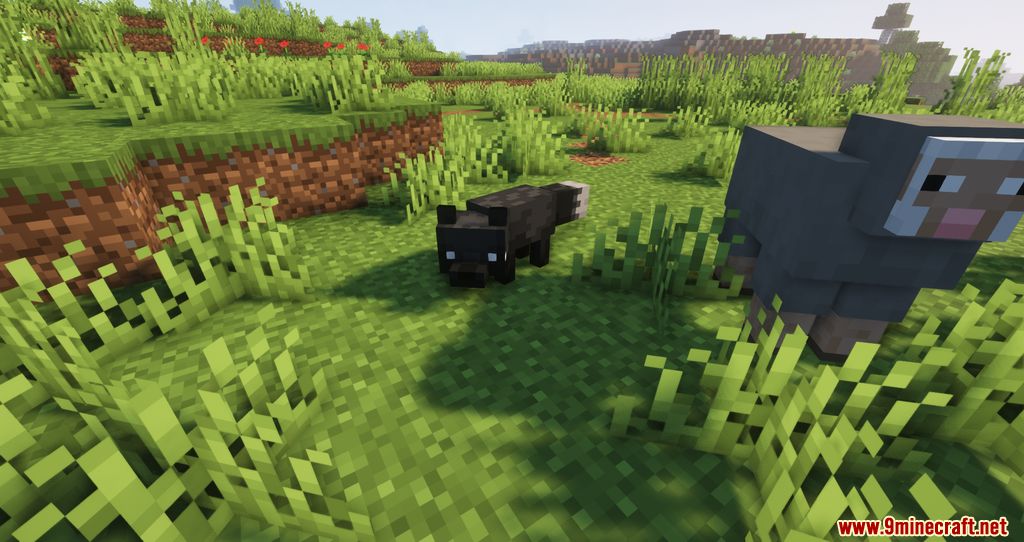 Shadew's Foxes Mod (1.18.2, 1.17.1) - New Foxes, Companion 2