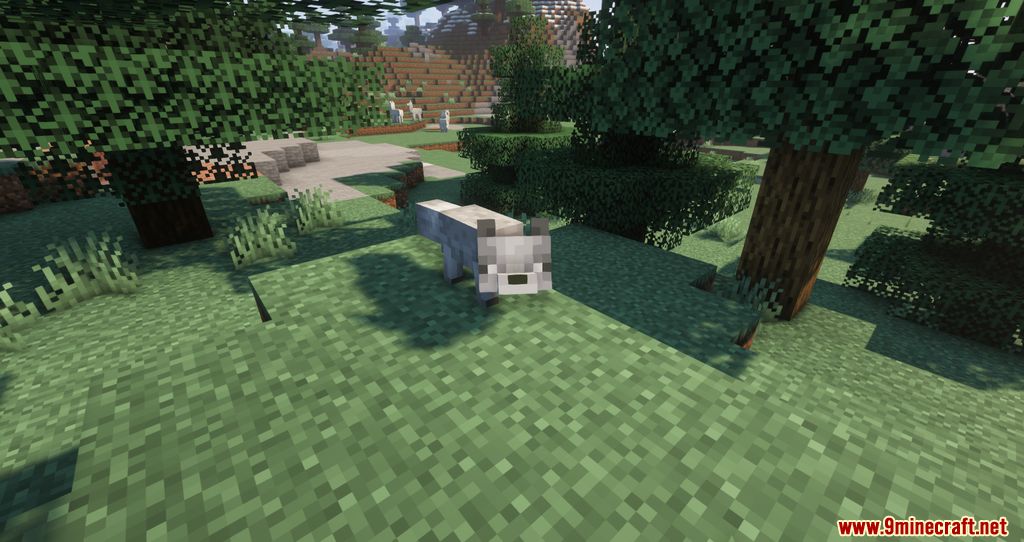 Shadew's Foxes Mod (1.18.2, 1.17.1) - New Foxes, Companion 3