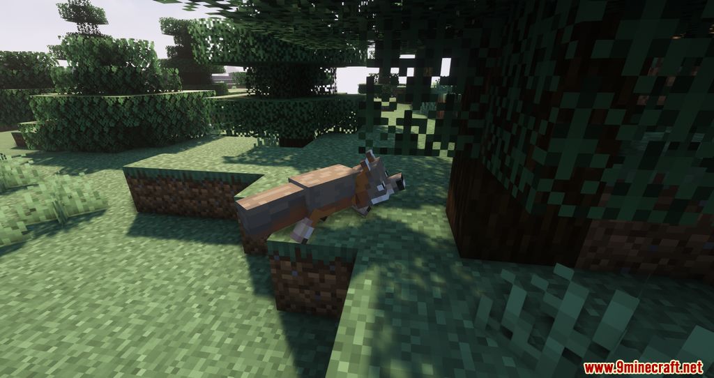 Shadew's Foxes Mod (1.18.2, 1.17.1) - New Foxes, Companion 5