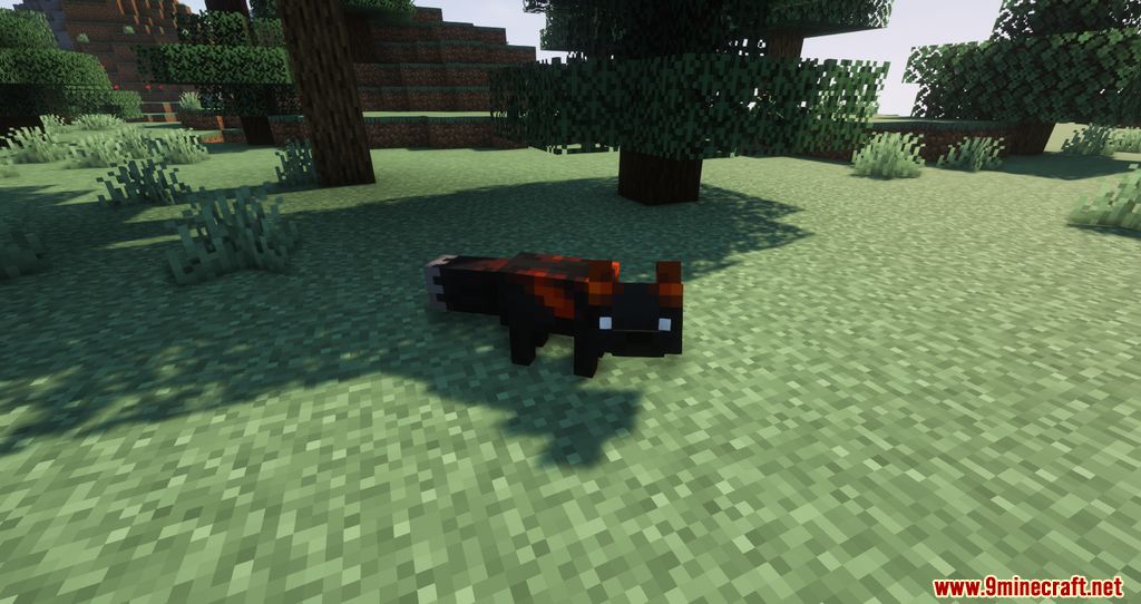 Shadew's Foxes Mod (1.18.2, 1.17.1) - New Foxes, Companion 8