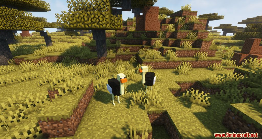 The Lost Biomes Mod 1.16.5 (Biomes, Animals) 5