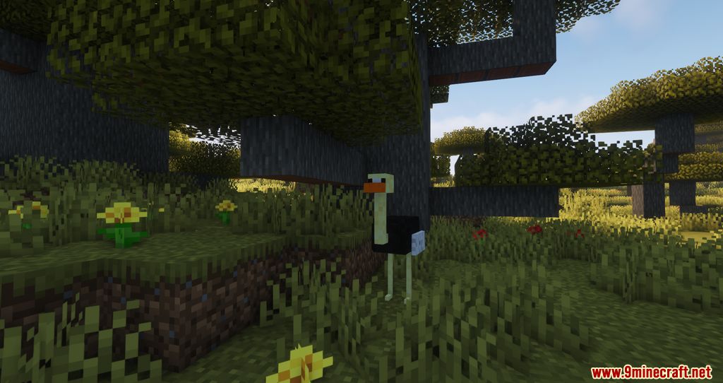 The Lost Biomes Mod 1.16.5 (Biomes, Animals) 6