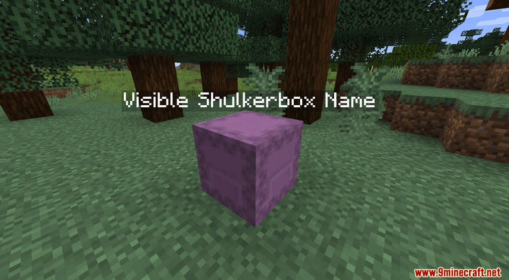 Visible Shulkerbox Name Data Pack (1.19.3, 1.18.2) - Locate the exact Shulker Box that You need 5