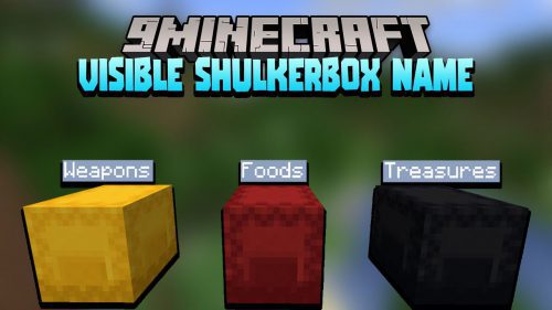 Visible Shulkerbox Name Data Pack (1.19.3, 1.18.2) – Locate the exact Shulker Box that You need Thumbnail