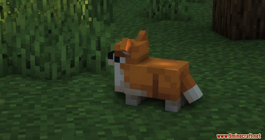 Ambient Additions Mod (1.18.2, 1.16.5) - New Adorable Animals added into the Game 3