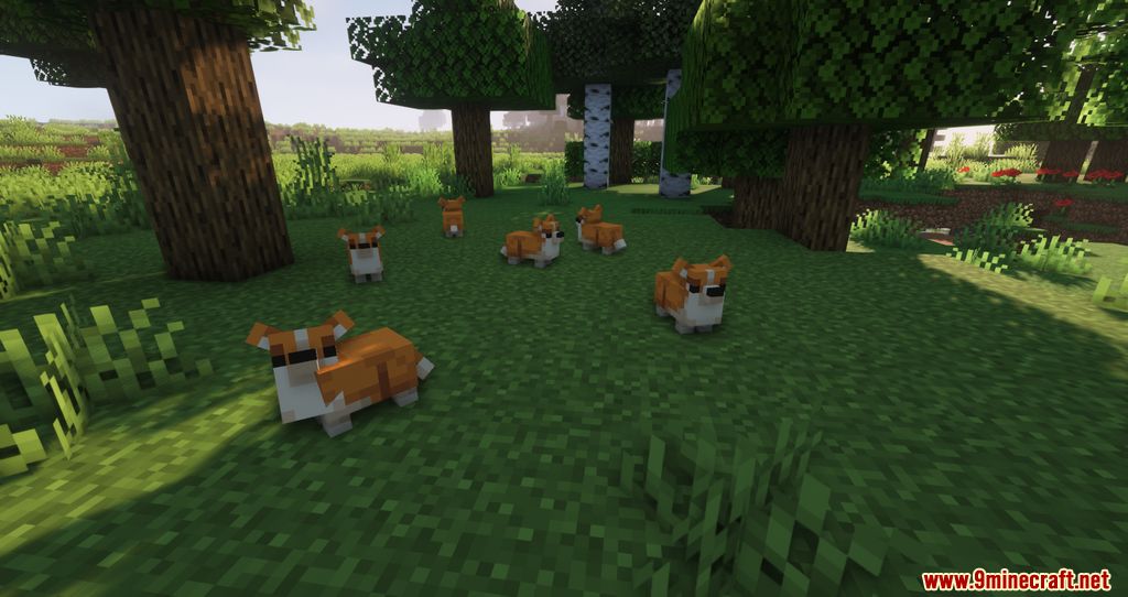 Ambient Additions Mod (1.18.2, 1.16.5) - New Adorable Animals added into the Game 4