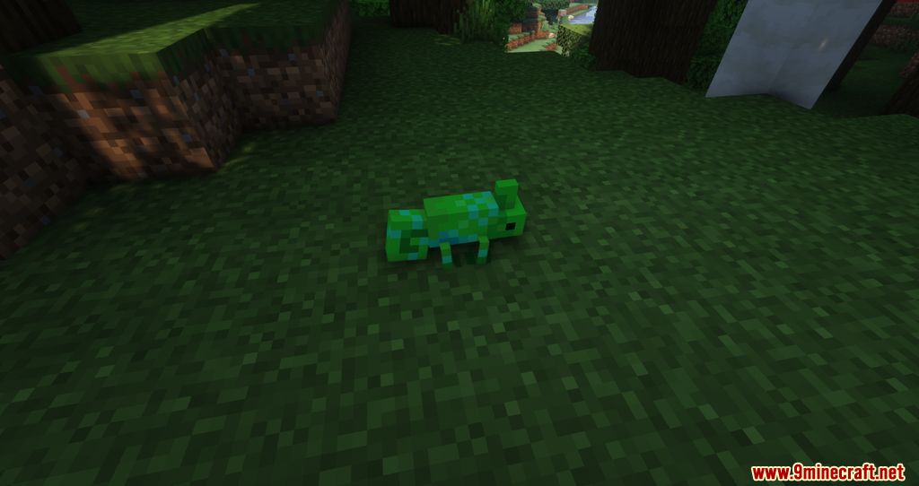 Ambient Additions Mod (1.18.2, 1.16.5) - New Adorable Animals added into the Game 9