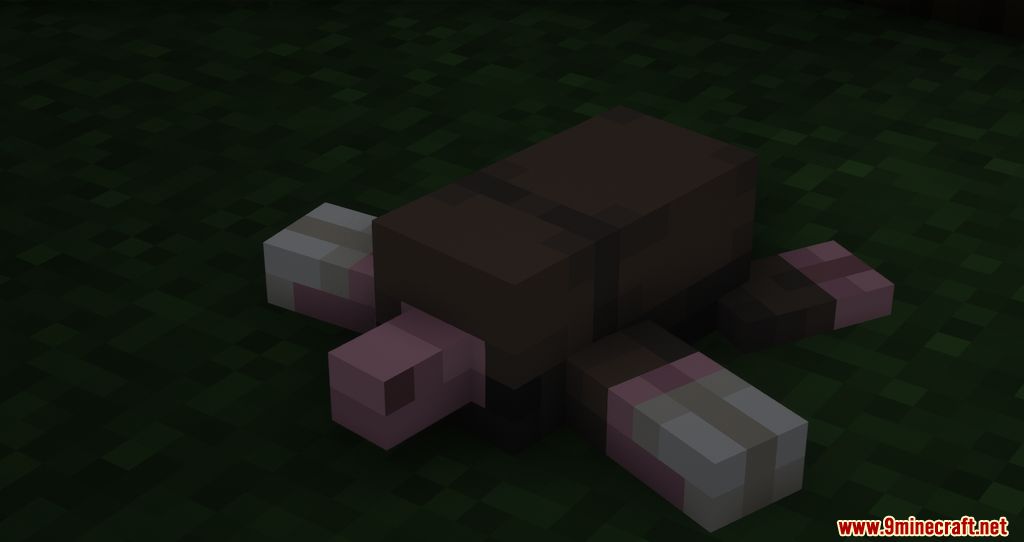 Ambient Additions Mod (1.18.2, 1.16.5) - New Adorable Animals added into the Game 11