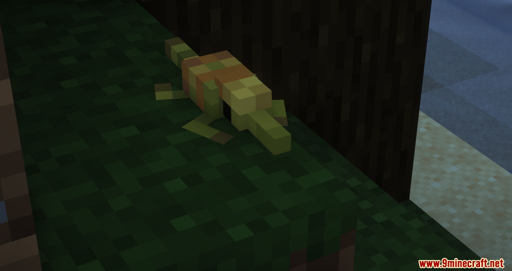 Ambient Additions Mod (1.18.2, 1.16.5) - New Adorable Animals added into the Game 12