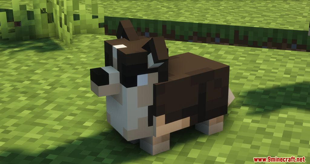 Ambient Additions Mod (1.18.2, 1.16.5) - New Adorable Animals added into the Game 14