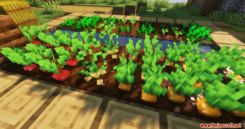 Crops 3D Resource Pack (1.19.4, 1.18.2) - Texture Pack 4