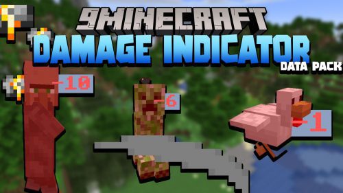 Damage Indicator Data Pack 1.18.1, 1.17.1 (Display, Ultility) Thumbnail