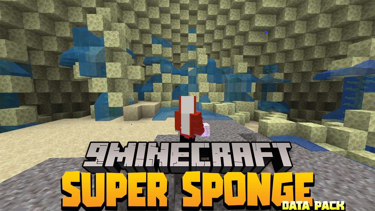 Super Sponge Data Pack 1.17.1, 1.16.5 (Water Removal) 1