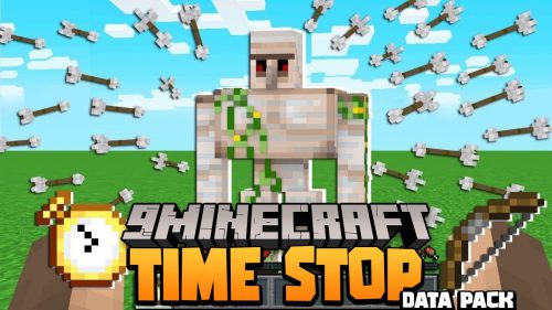 Time Stop Data Pack (1.19.3, 1.18.2) – Za Warudo Thumbnail