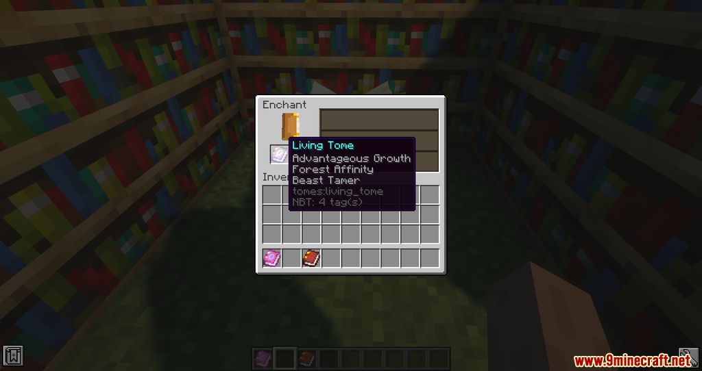 Tomes Mod 1.16.5 (Spelling Books to Enhance Combat) 4