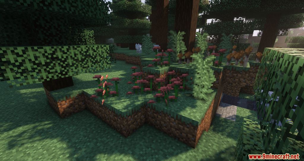 Biome Revamp Mod 1.16.5 (Improving The Biomes) 3