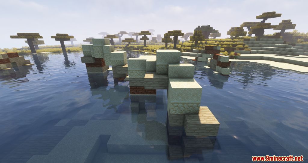 Biome Revamp Mod 1.16.5 (Improving The Biomes) 5