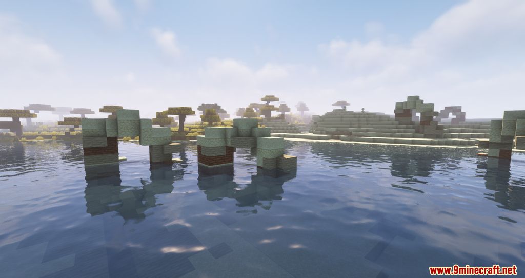 Biome Revamp Mod 1.16.5 (Improving The Biomes) 7