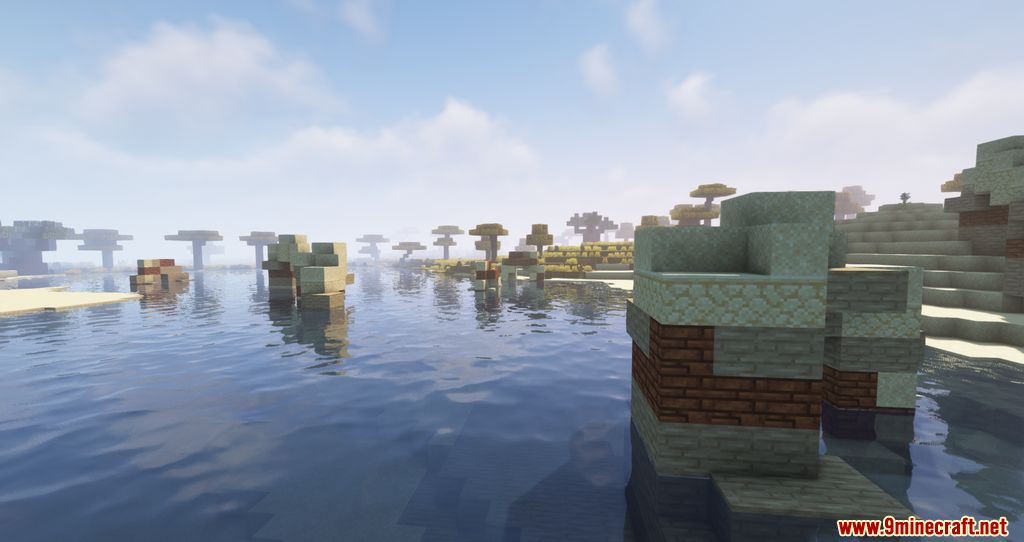 Biome Revamp Mod 1.16.5 (Improving The Biomes) 8