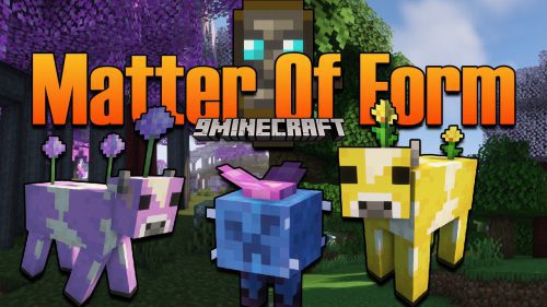 Matter of Form Mod 1.16.5 (Diverse World and New Biomes added) Thumbnail