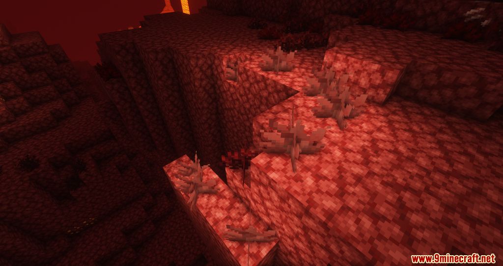 Better Nether Life Mod 1.16.5 (Nether Improvements) 2