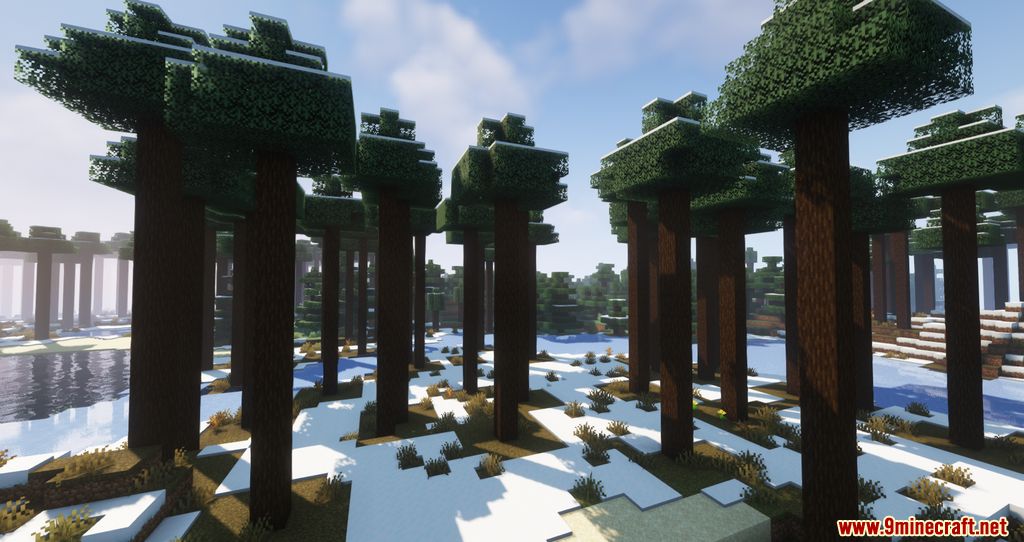 Biomes of Wild Mod 1.17.1 (Unique Biomes added) 2