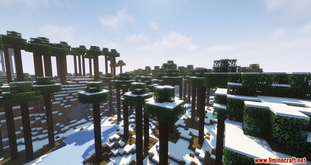 Biomes of Wild Mod 1.17.1 (Unique Biomes added) 3