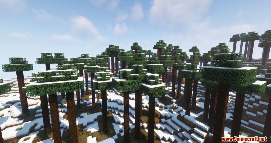 Biomes of Wild Mod 1.17.1 (Unique Biomes added) 4