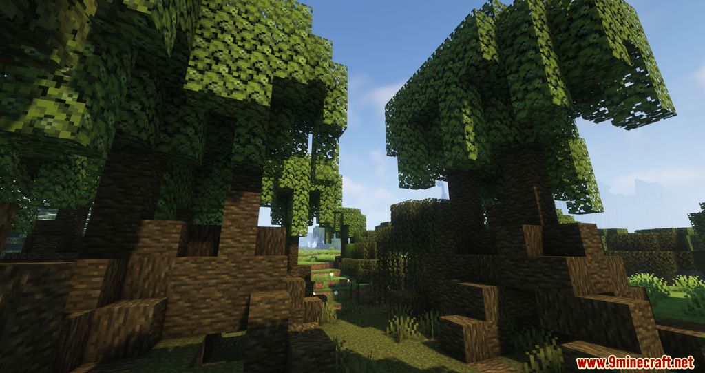 Biomes of Wild Mod 1.17.1 (Unique Biomes added) 6