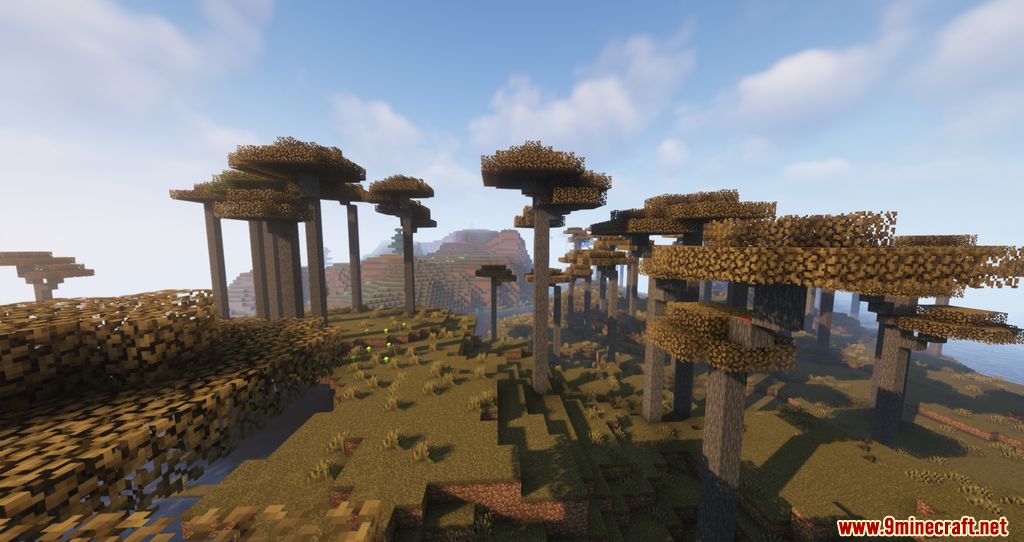 Biomes of Wild Mod 1.17.1 (Unique Biomes added) 8