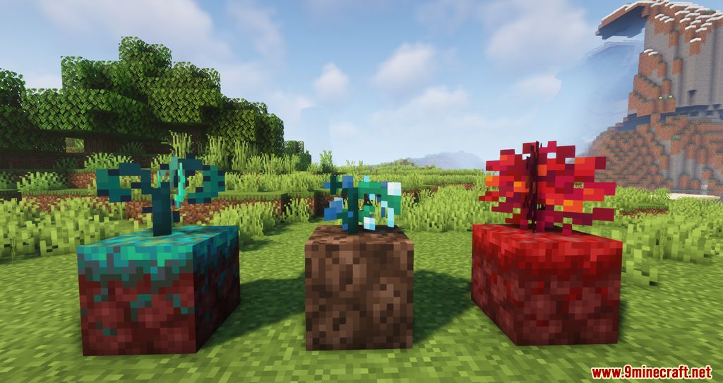 Nears Mod (1.20.4, 1.19.4) - Edible and Fruit for Nether 3