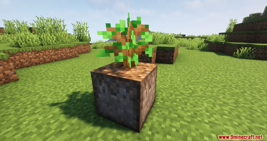 Planting Dirt for Saplings Mod (1.20.4, 1.19.4) - Auto Planting Trees 2