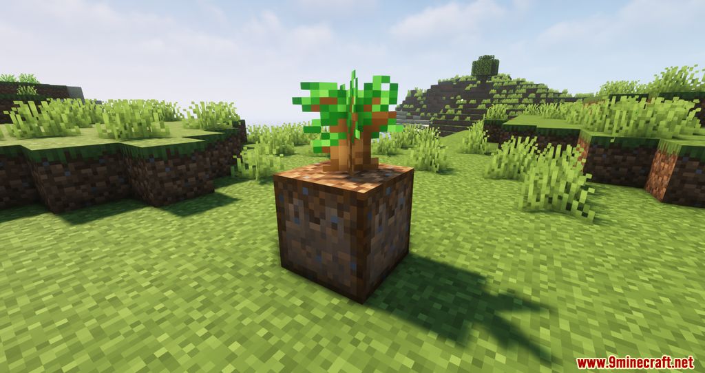 Planting Dirt for Saplings Mod (1.20.4, 1.19.4) - Auto Planting Trees 3